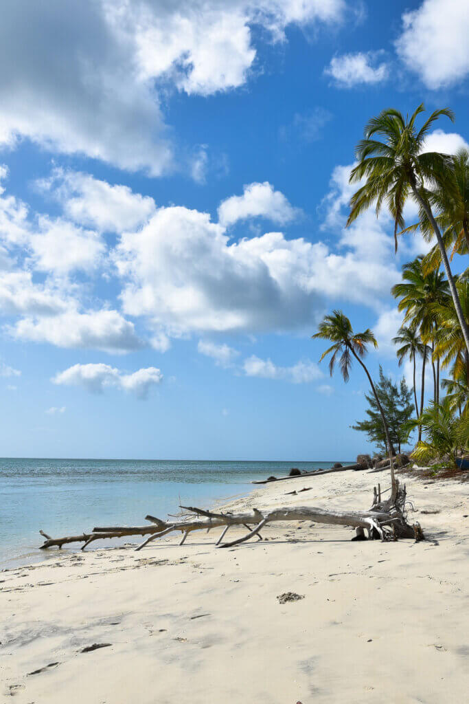 Einsamer, puderweißer Strand auf Mafia Island mit türkisblauem Meer fernab vom Massentourismus: Mafia Island.