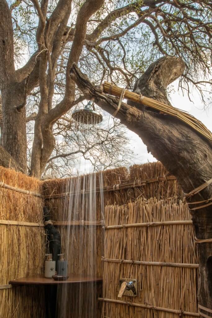 Die Dusche im Tafika Camp ist nach oben offen - man ist beim Duschen gut behütet von massiven Bäumen. 