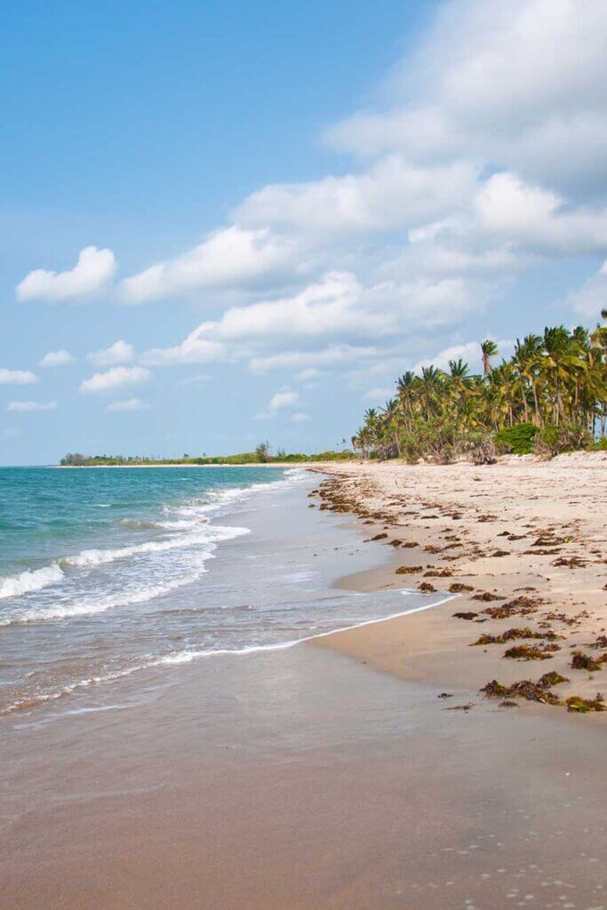 Küste und Meer, soweit das Auge reicht. Links schwappen die Wellen des Türkisen Meeres auf den naturbelassenen Sandstrand. Rechts sind unendliche viele Palmen zu sehen. Ein Paradies für Individualisten!