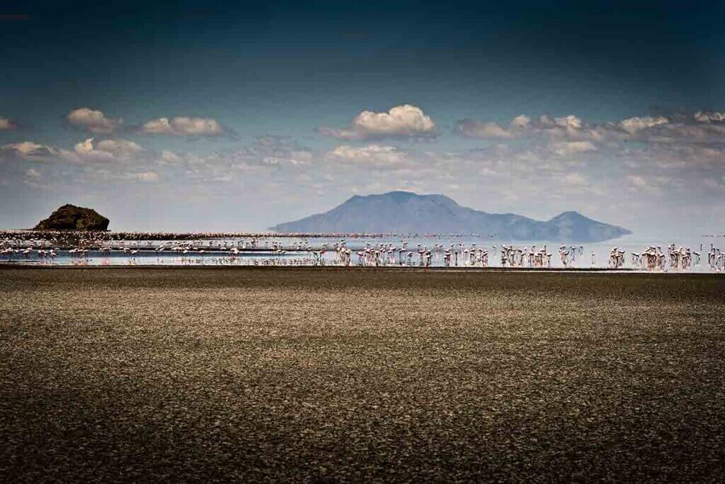 Karge Landschaft, ein flimmernder See mit rosaroten Zwergflamingos und im Hintergrund Hügelketten.
