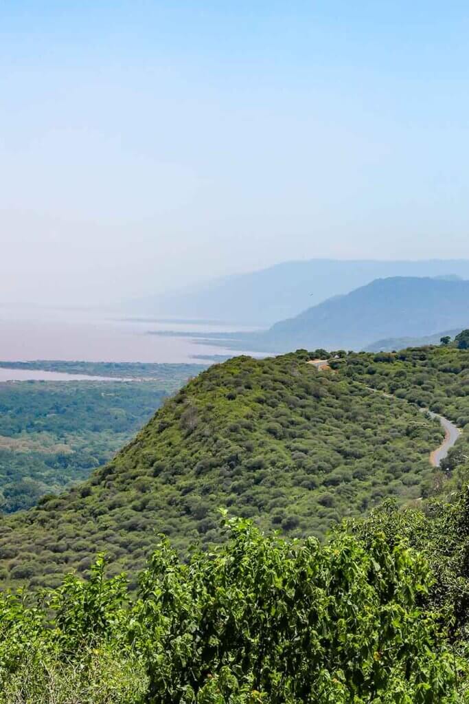 Im Hintergrund des Bildes ist der rötlich gefärbte Lake Manyara zu sehen. Rechts davon ragt der Ostafrikanische Grabenbruch in die Höhe. Die Bruchstufe ist dicht mit Bäumen und Wäldern bewachsen. 